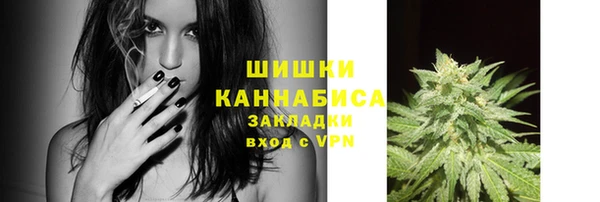 ГАЛЛЮЦИНОГЕННЫЕ ГРИБЫ Аркадак