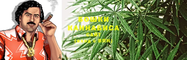 гидра Арсеньев