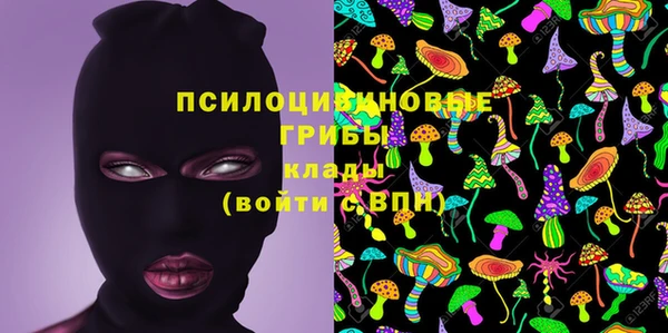 ГАЛЛЮЦИНОГЕННЫЕ ГРИБЫ Аркадак