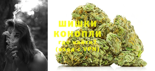 ГАЛЛЮЦИНОГЕННЫЕ ГРИБЫ Аркадак