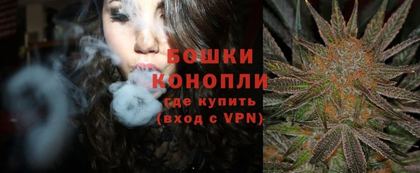 ГАЛЛЮЦИНОГЕННЫЕ ГРИБЫ Аркадак