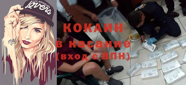 ГАЛЛЮЦИНОГЕННЫЕ ГРИБЫ Аркадак