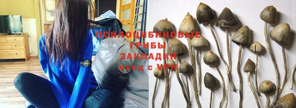 гидра Арсеньев