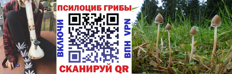 Псилоцибиновые грибы Psilocybine cubensis  мега зеркало  Озёрск  купить наркоту 